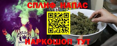 гидропоника Будённовск