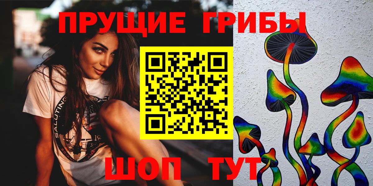 Псилоцибиновые грибы Psilocybine cubensis Тельмана
