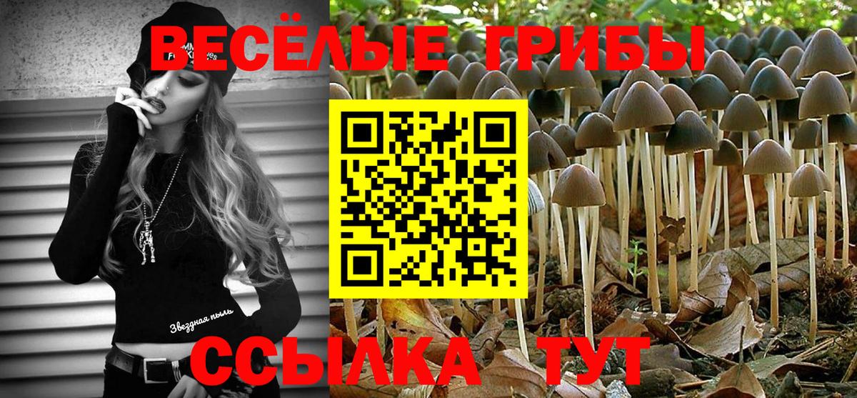 Галлюциногенные грибы GOLDEN TEACHER  Галлюциногенные грибы ЛСД  Вход с VPN  Тельмана 